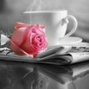 Amy_love