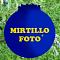 Avatar di Mirtillo Foto
