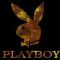 Avatar di Noughty Boy Singhs