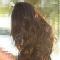 Avatar di MaSha95
